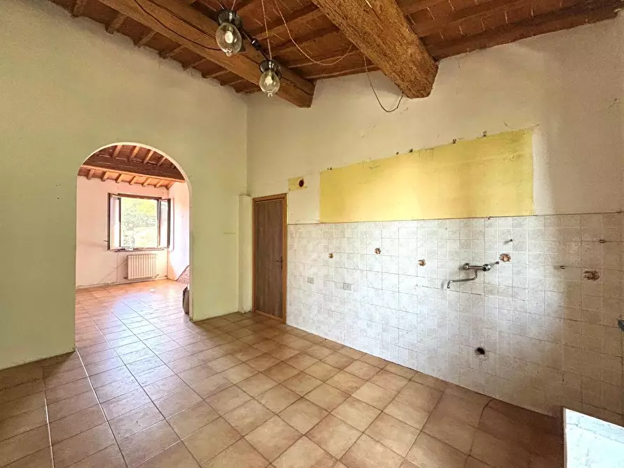Immagine 3 di Appartamento in vendita  a Fauglia