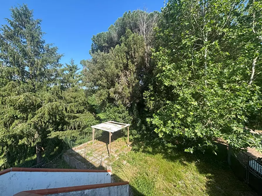 Immagine 15 di Appartamento in vendita  a Fauglia