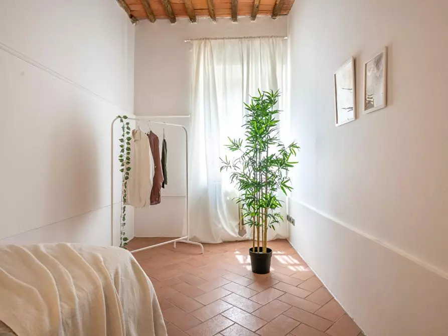 Immagine 39 di Appartamento in vendita  a Buti