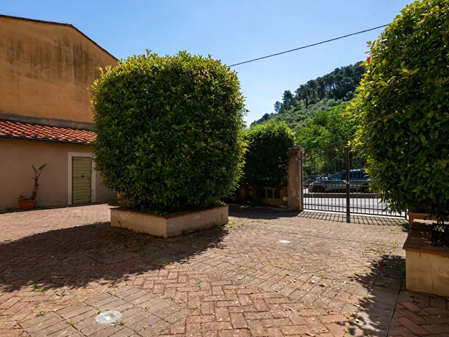Immagine 43 di Appartamento in vendita  a Buti