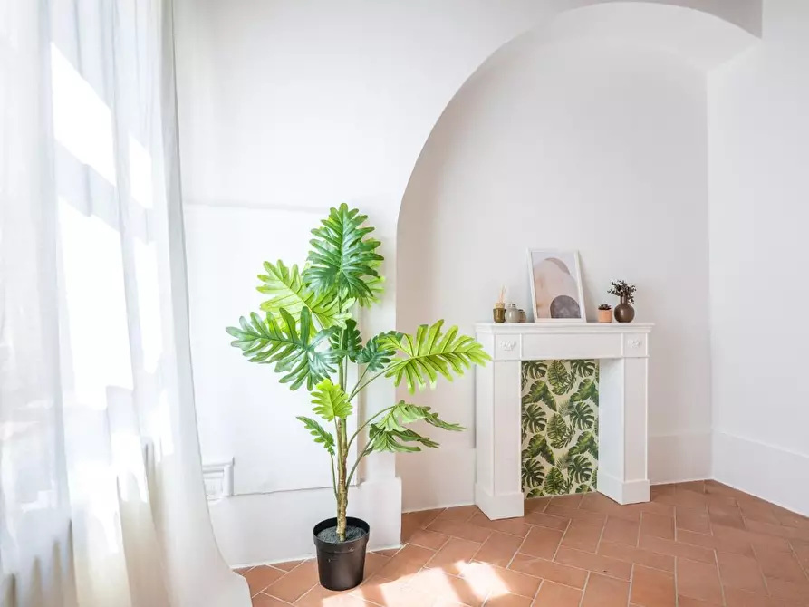 Immagine 37 di Appartamento in vendita  a Buti