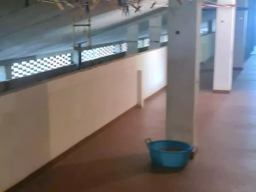 Immagine 14 di Appartamento in vendita  a Livorno