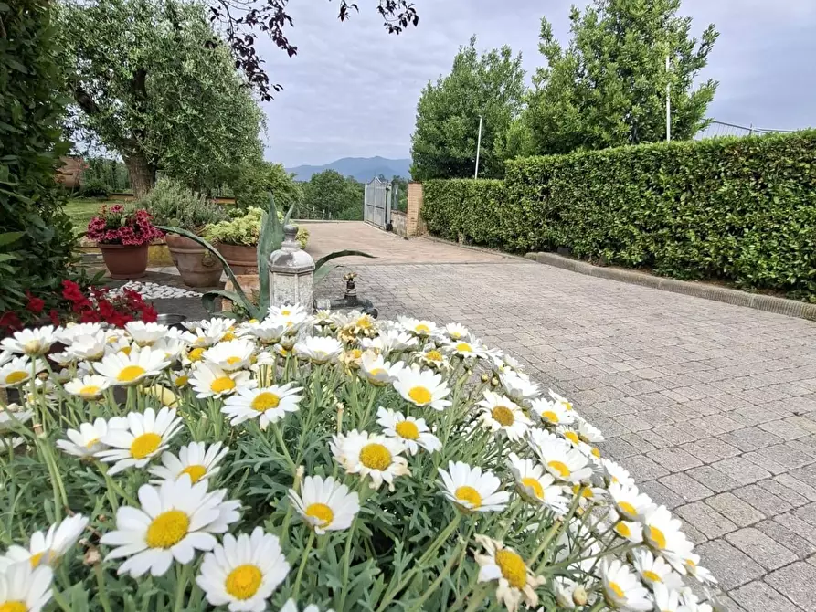 Immagine 6 di Villa in vendita  a Santa Maria A Monte