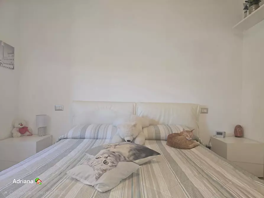 Immagine 18 di Appartamento in vendita  a Siena