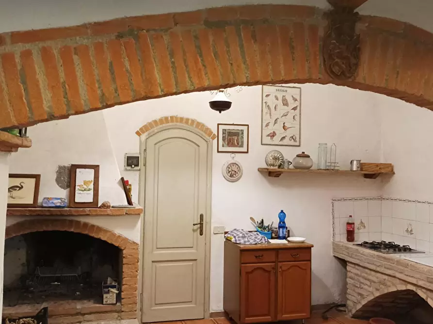 Immagine 17 di Casa colonica in vendita  a Santa Luce