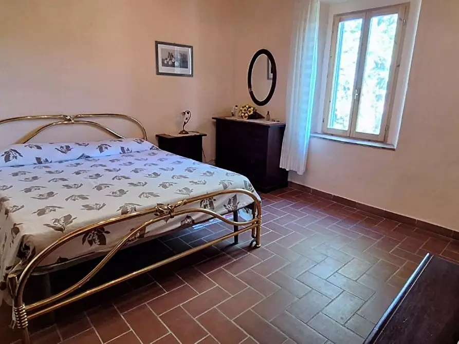 Immagine 15 di Casa colonica in vendita  a Santa Luce