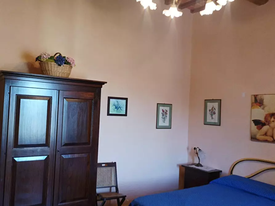 Immagine 22 di Casa colonica in vendita  a Santa Luce