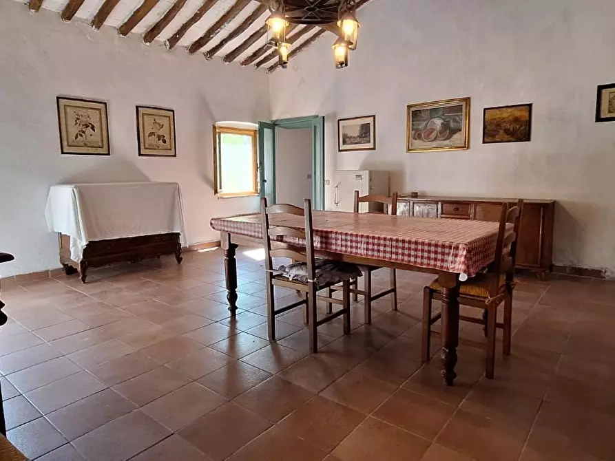 Immagine 5 di Casa colonica in vendita  a Santa Luce