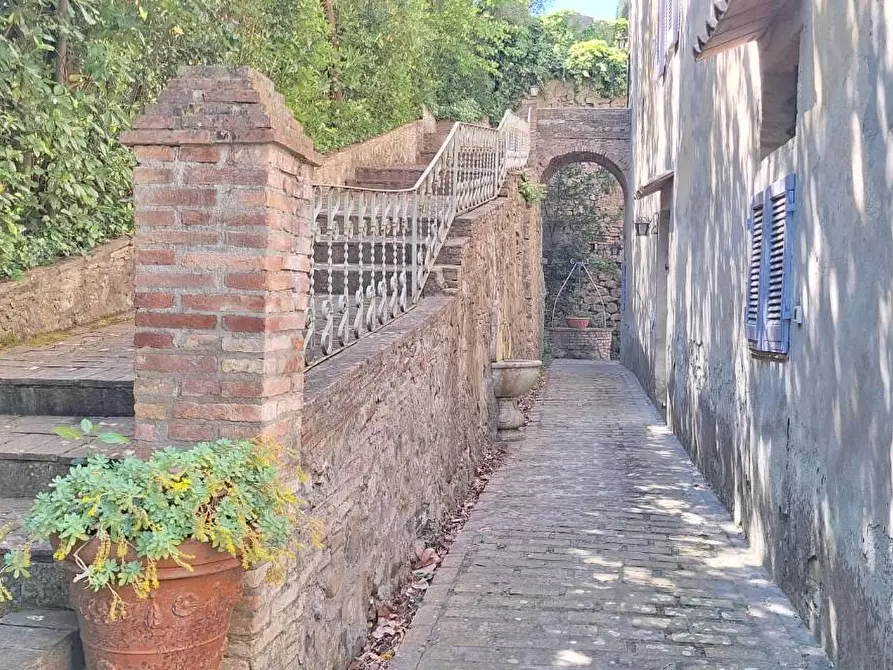 Immagine 19 di Casa colonica in vendita  a Santa Luce