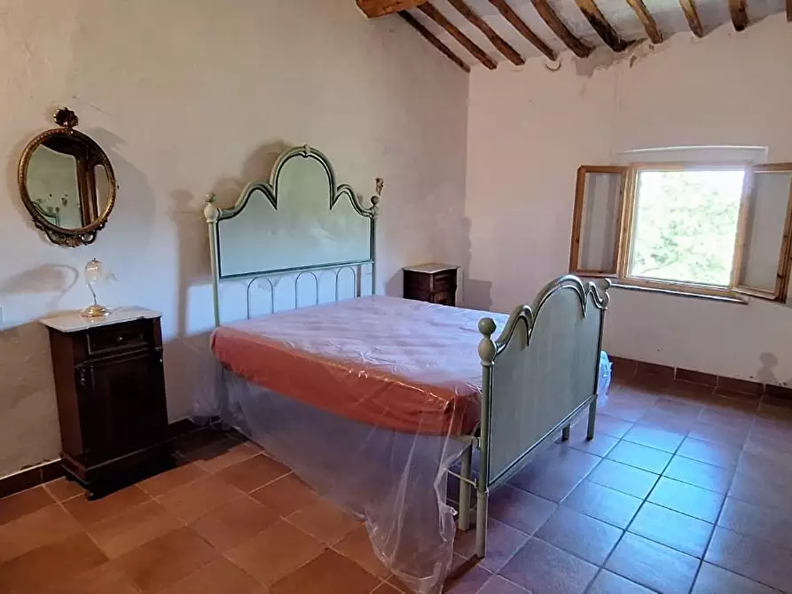 Immagine 25 di Casa colonica in vendita  a Santa Luce
