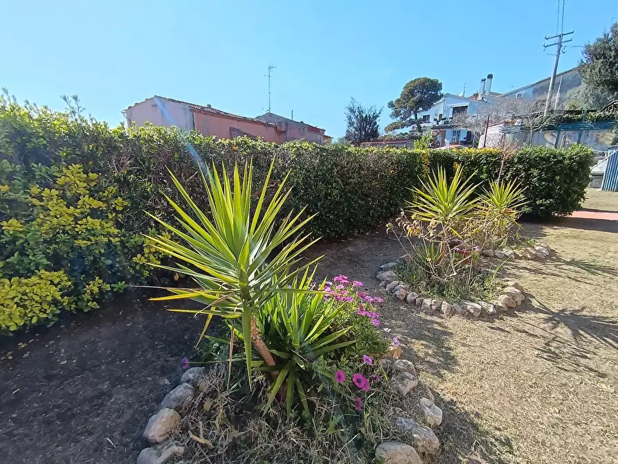 Immagine 38 di Villa in vendita  a Livorno