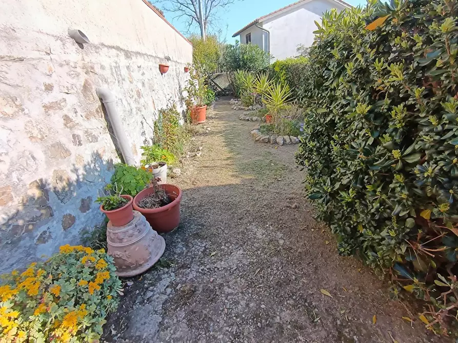 Immagine 28 di Villa in vendita  a Livorno