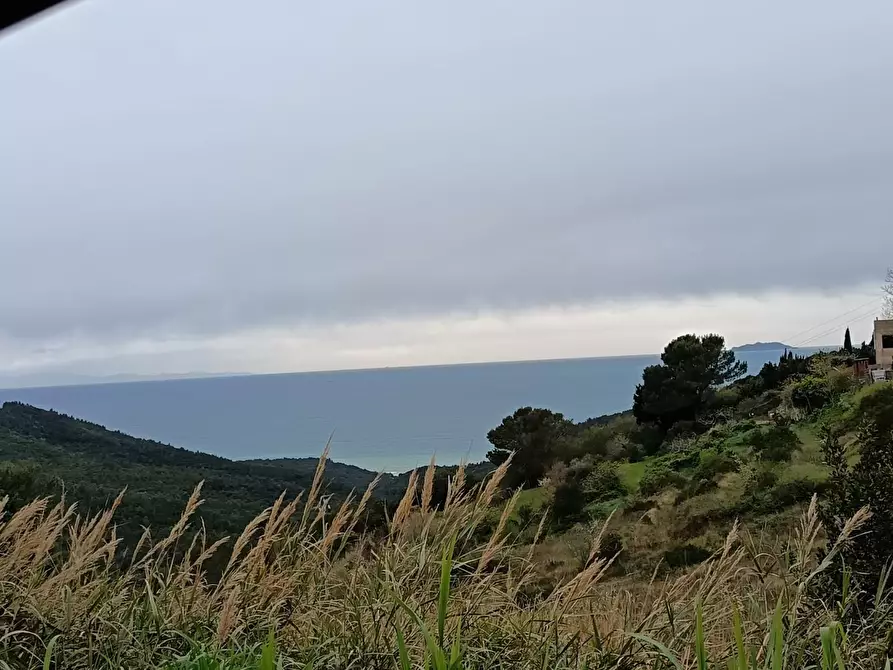 Immagine 27 di Villa in vendita  a Livorno