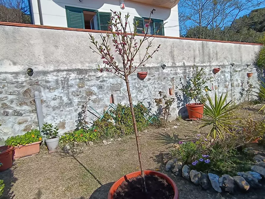 Immagine 39 di Villa in vendita  a Livorno