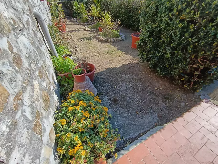 Immagine 40 di Villa in vendita  a Livorno