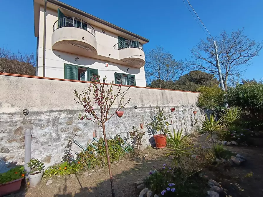 Immagine 4 di Villa in vendita  a Livorno