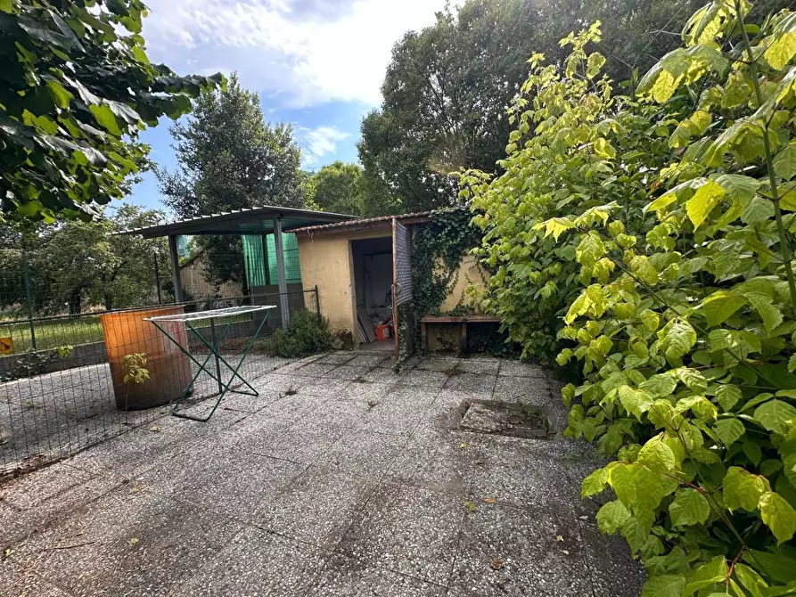 Immagine 17 di Appartamento in vendita  a Pontedera