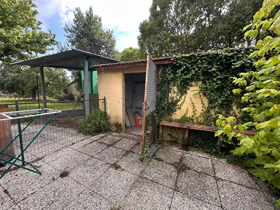 Immagine 18 di Appartamento in vendita  a Pontedera