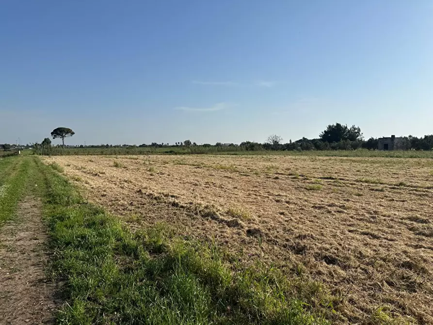 Immagine 6 di Terreno residenziale in vendita  a Carmiano