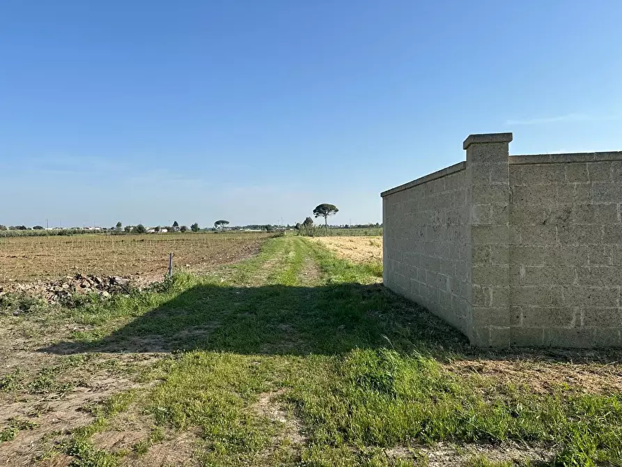 Immagine 5 di Terreno residenziale in vendita  a Carmiano