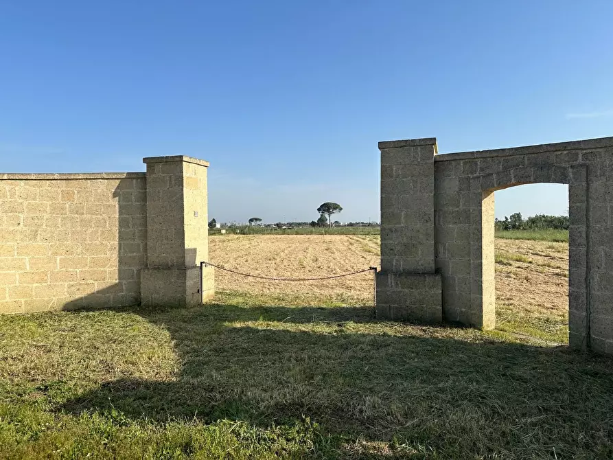 Immagine 1 di Terreno residenziale in vendita  a Carmiano