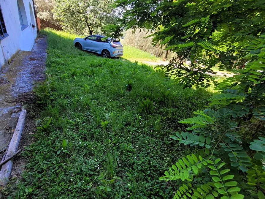 Immagine 12 di Casa colonica in vendita  a Empoli