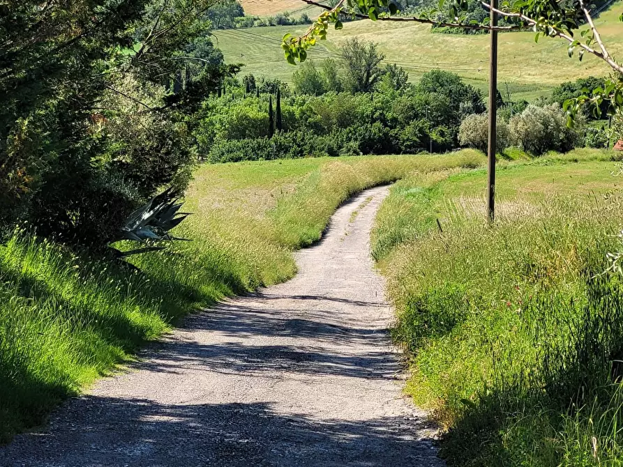 Immagine 14 di Casa colonica in vendita  a Empoli