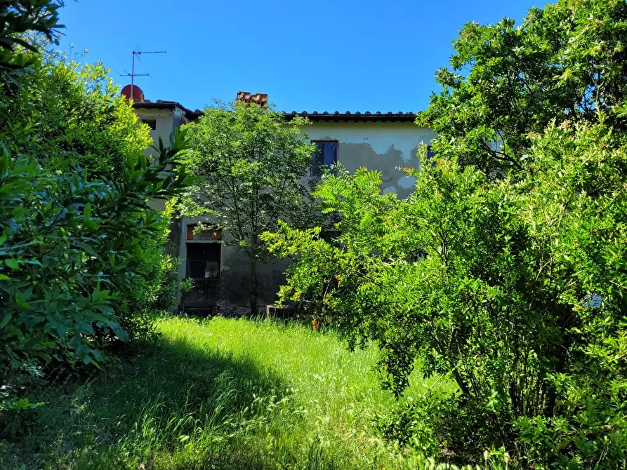 Immagine 11 di Casa colonica in vendita  a Empoli