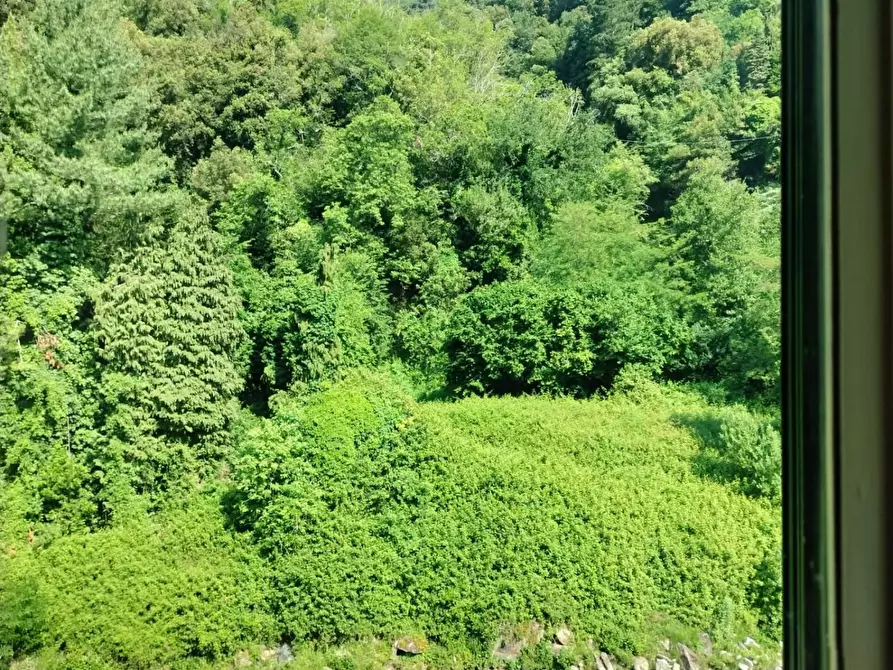 Immagine 17 di Porzione di casa in vendita  a Massa
