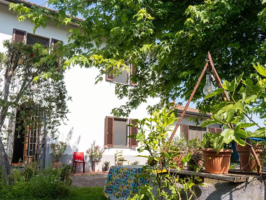 Immagine 4 di Villa in vendita  a San Giuliano Terme