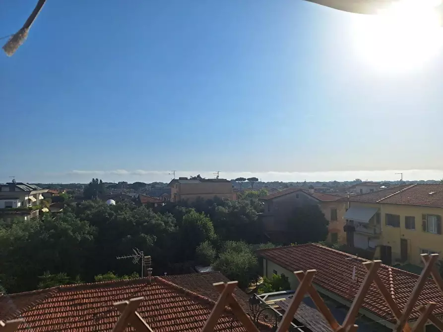 Immagine 40 di Appartamento in vendita  a Seravezza