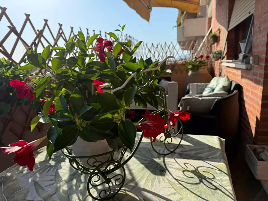 Immagine 2 di Appartamento in vendita  a Seravezza