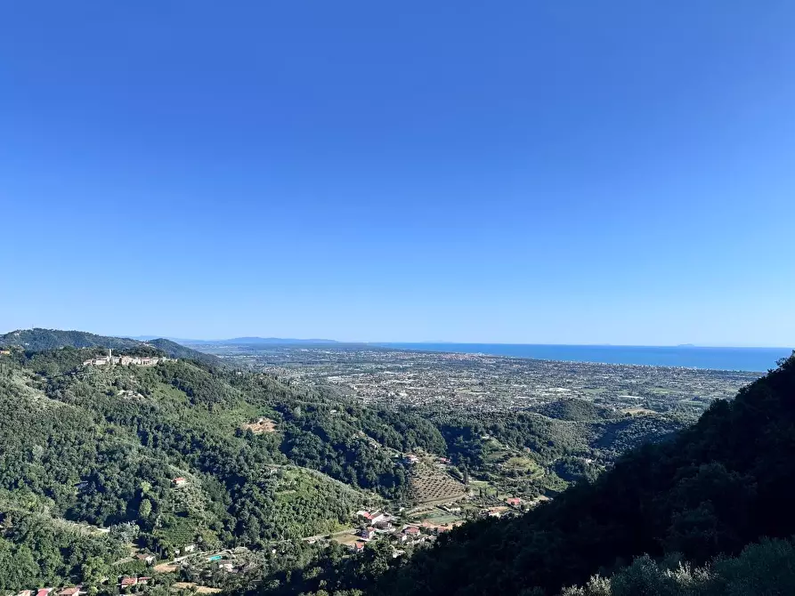 Immagine 39 di Casa colonica in vendita  a Pietrasanta
