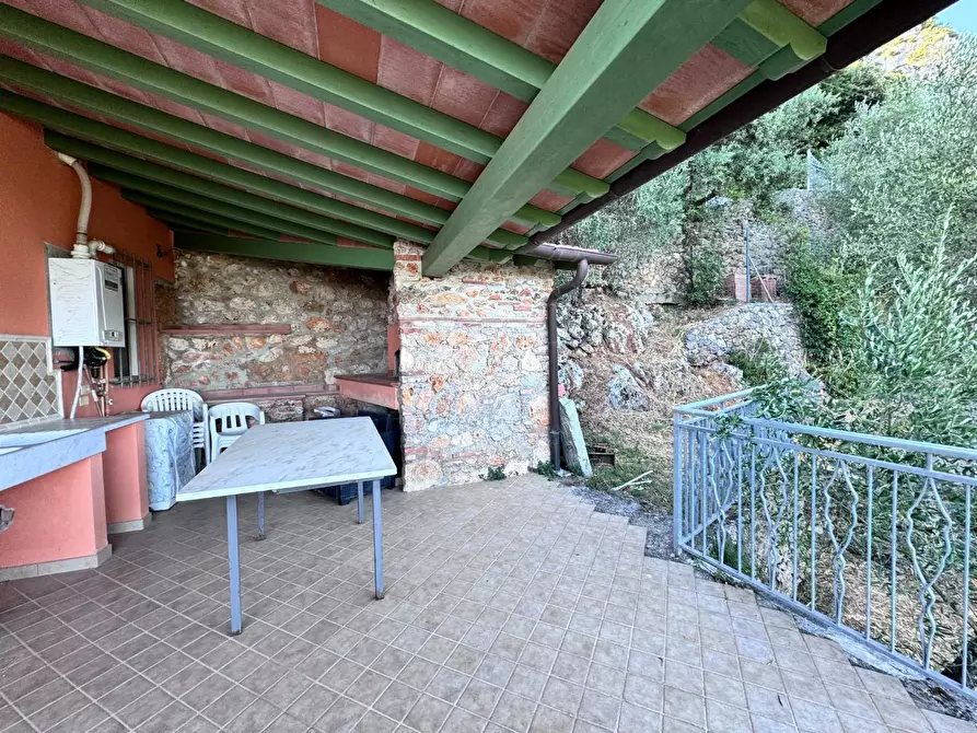 Immagine 11 di Casa colonica in vendita  a Pietrasanta