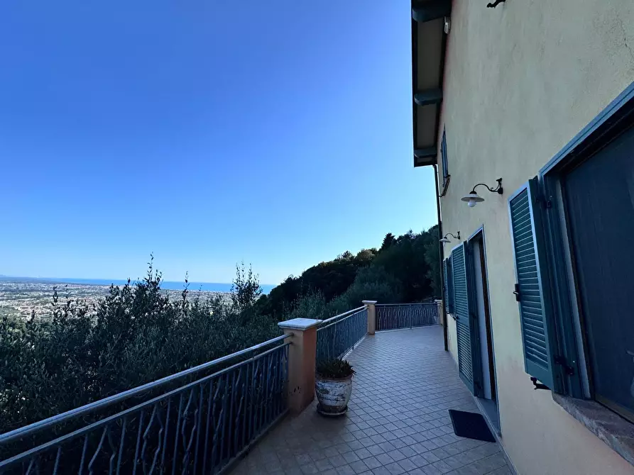 Immagine 57 di Casa colonica in vendita  a Pietrasanta
