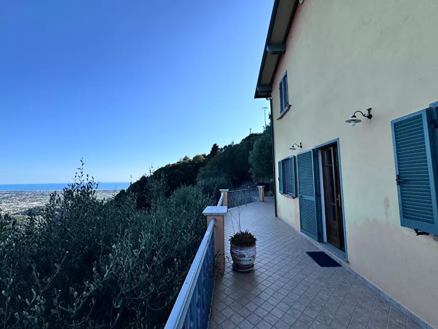 Immagine 59 di Casa colonica in vendita  a Pietrasanta