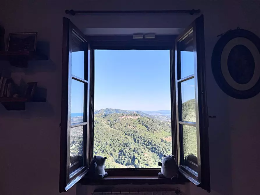 Immagine 36 di Casa colonica in vendita  a Pietrasanta