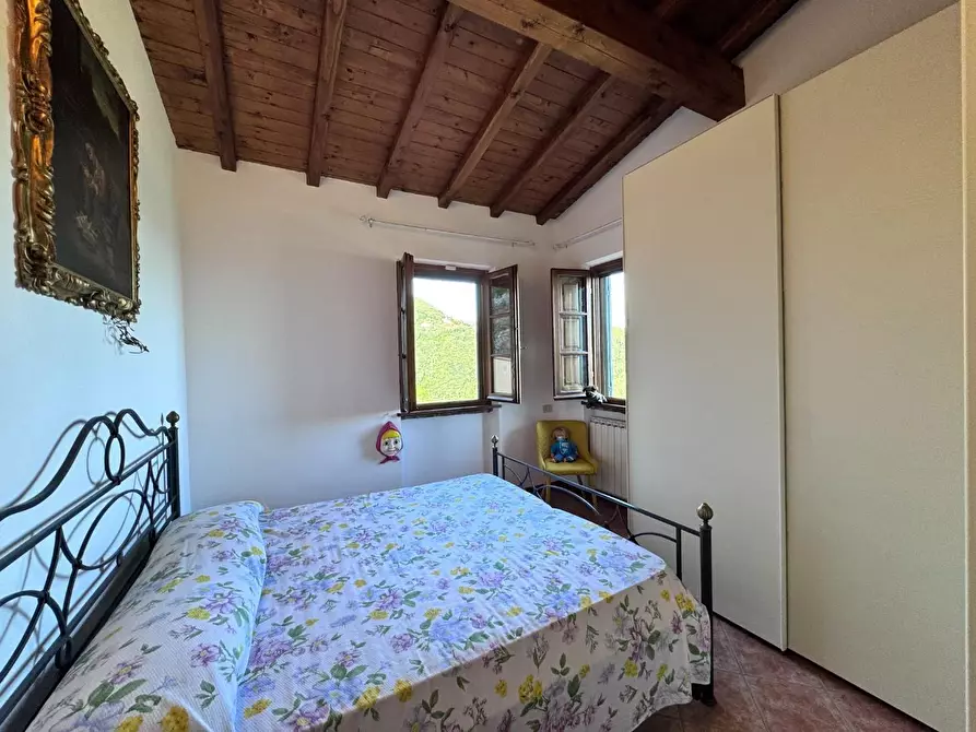 Immagine 53 di Casa colonica in vendita  a Pietrasanta