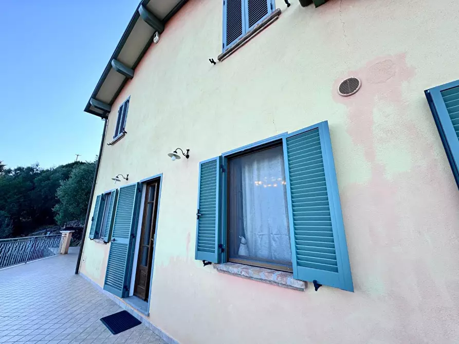 Immagine 1 di Casa colonica in vendita  a Pietrasanta