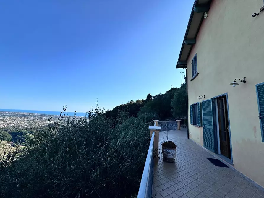 Immagine 55 di Casa colonica in vendita  a Pietrasanta