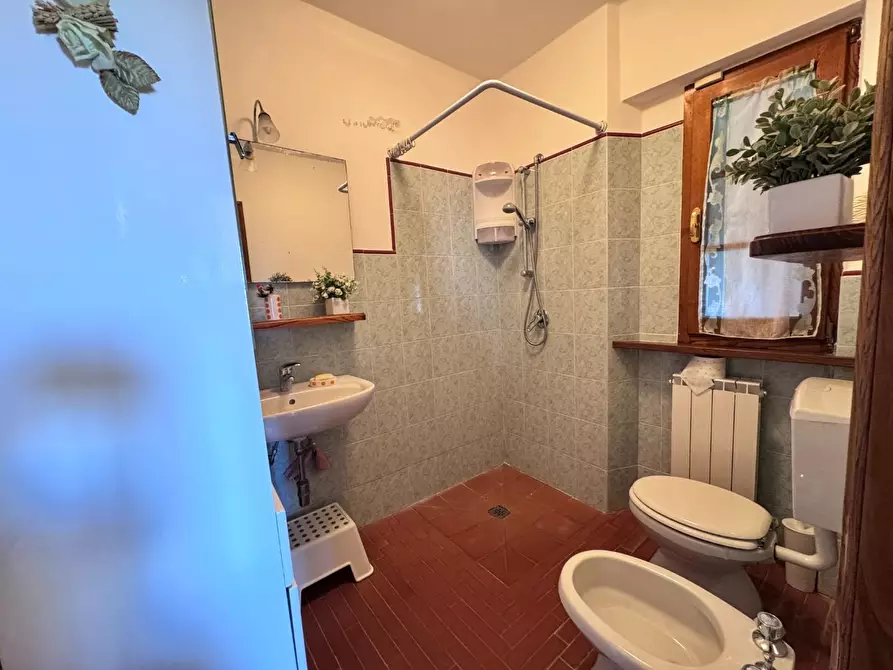 Immagine 26 di Casa colonica in vendita  a Pietrasanta