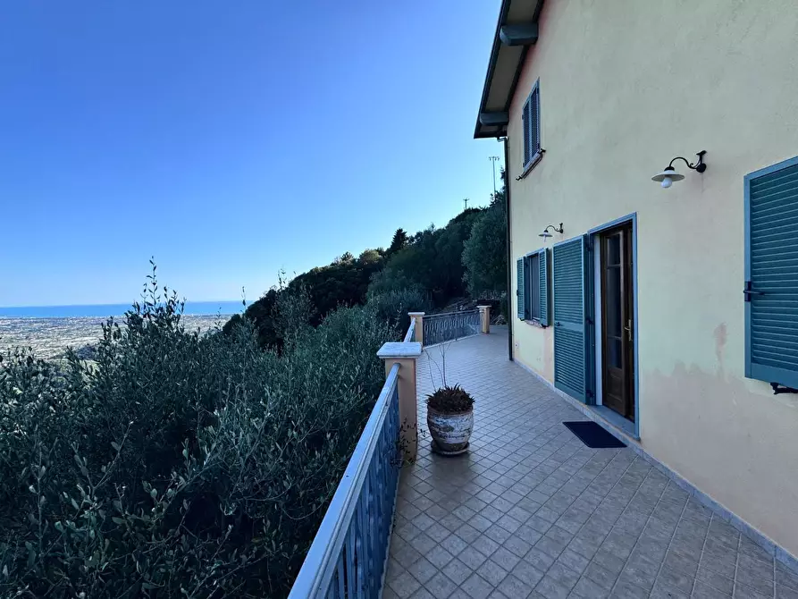 Immagine 60 di Casa colonica in vendita  a Pietrasanta