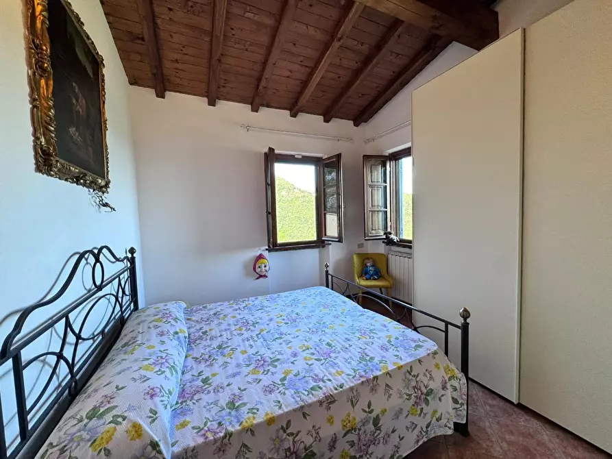 Immagine 52 di Casa colonica in vendita  a Pietrasanta