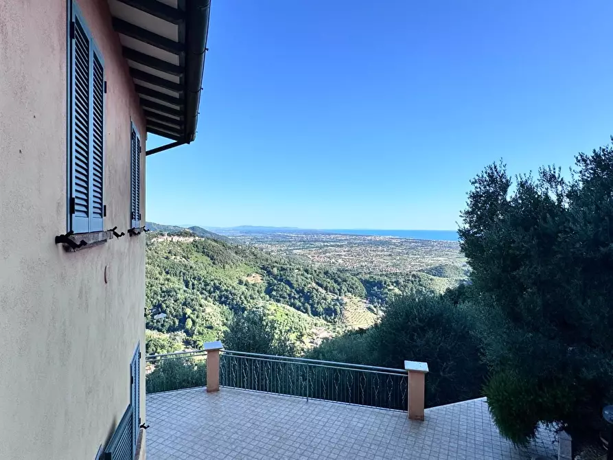 Immagine 6 di Casa colonica in vendita  a Pietrasanta