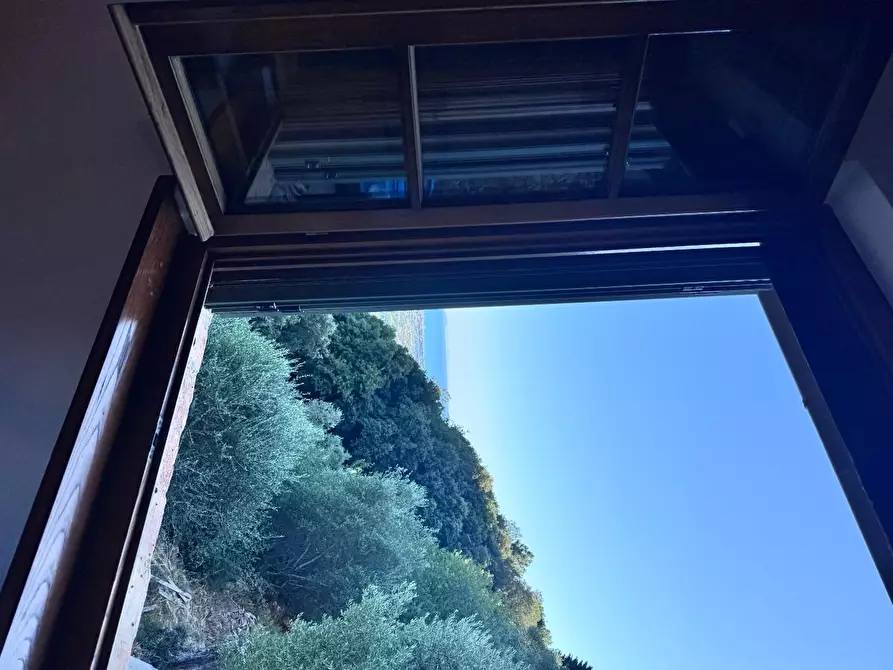 Immagine 42 di Casa colonica in vendita  a Pietrasanta