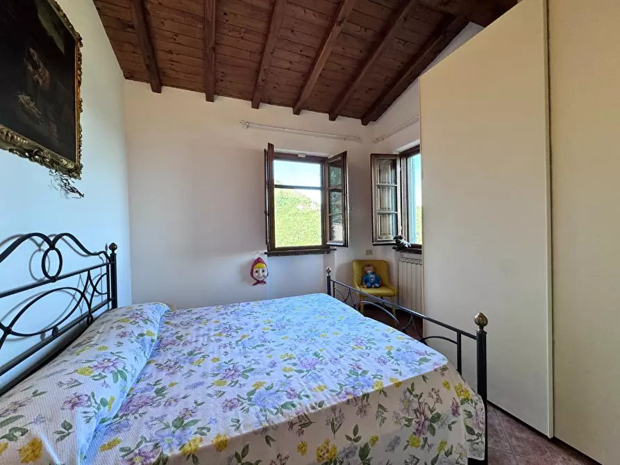 Immagine 44 di Casa colonica in vendita  a Pietrasanta