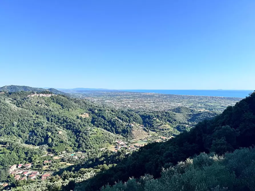 Immagine 40 di Casa colonica in vendita  a Pietrasanta