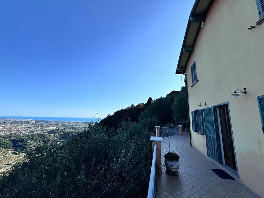 Immagine 56 di Casa colonica in vendita  a Pietrasanta