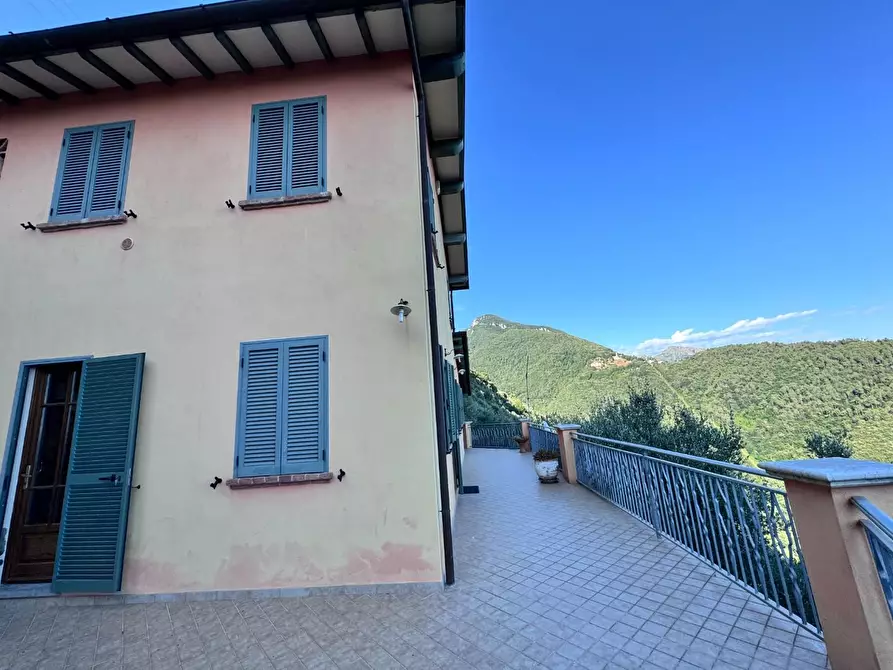 Immagine 61 di Casa colonica in vendita  a Pietrasanta