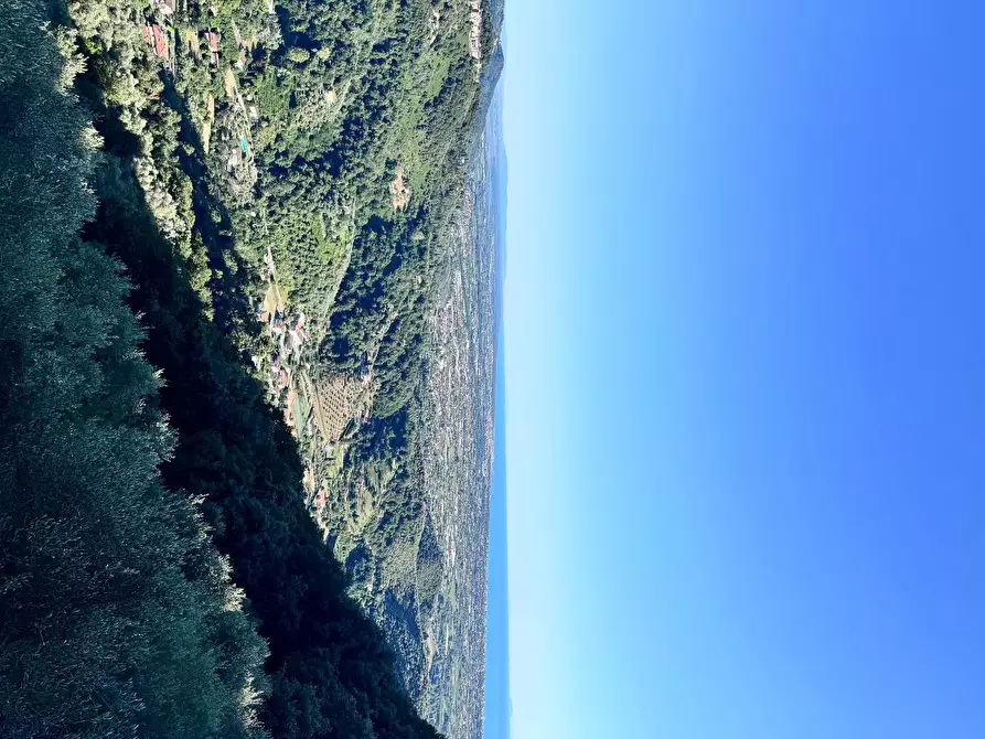 Immagine 41 di Casa colonica in vendita  a Pietrasanta